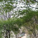 길치고개길 이미지