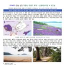 5월 24일(토) 전남 신안 퍼플섬 라벤더 축제 + 분계해수욕장 &amp; 여인송 이미지