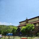 도도 켄넬 이미지