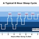 수면 주기 사이클, 렘수면 코어수면 뜻 이미지