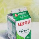 하얀돌미술학원 이미지