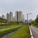 갈매천변 이미지