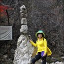 지동초등학교 이미지