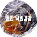 천안봉명초등학교 | 천안 낙원김밥 / 천안 3대 김밥 내 돈 내산 후기 순천향대병원 앞 줄서서 김밥 사는 곳