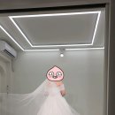 비즈라인 | 라벨르엘린 드레스샵_비즈 드레스 A라인 후기 1-4-2
