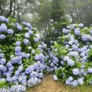 멍마르뜨 이미지