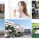 동명초등학교/동명유치원 이미지