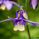 풍경(오월의 이야기 이미지