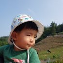 유찬목장 네이버블로그