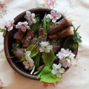 곤드레이야기 이미지