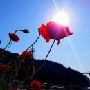 두미민박 이미지