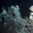 스카이 P.P 이미지