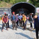 봉암초교 이미지