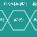 퀸스테틱