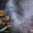 강서구-15 이미지