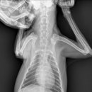 송정동물메디컬센터 이미지