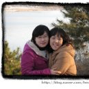 철호카센타 이미지