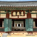 관촌리 89-1 담장 | 전북 여행지 추천 고창 여행 선운사 동백꽃 선운산 전국 유명 사찰