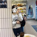 얼바닉30 urbanic30 호보백 / 베이스 프렙 연작 / 미샤 비폴렌앰플, 비타씨 플러스 앰플 / 여드름 연고...