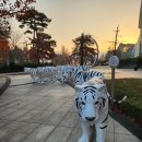 창원천 | [주말여행] 창원 1박2일 : 2일차 창원머큐어 조식 후기, 창원LG vs 수원KT 프로농구 직관