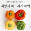피망(piment)