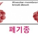 고운숨결내과의원 이미지