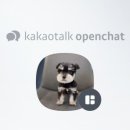 멍냥일번지 강아지분양고양이분양 의정부본점 이미지