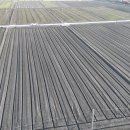 김제시 부량면사무소 이미지