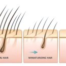 잠실맥스웰성형외과의원 이미지