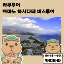 개두마리 소나무 | 라쿠투어로 떠난 일본 3대 절경 아마노하시다테 여행 교토 북부 버스투어 체험 후기