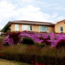 청계목장 이미지