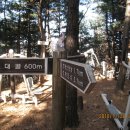 상천초등학교 이미지