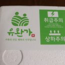 엄재영 | 먹기 편한 유환가 건강즙 3종 세트 - 레드비트즙 / 호박즙 / 양배추즙