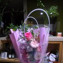 가든 피어 | 20250620금: 피어가든송도 후기 모임과 호야꽃