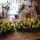 석전동286 이미지