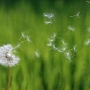 국군수도병원 이미지