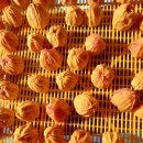 월하농장 이미지