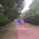 형제오토바이 이미지