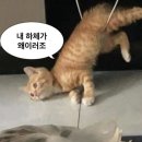 군산복싱체육관(권투) | 직장인 복싱 8개월 후기 - 풍산권투체육관