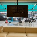 대형견 이발소 이미지