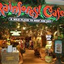 라스베가스식당 | 레인포레스트 카페 (Rainforest Cafe) 방문 후기｜나이아가라·라스베가스·디즈니 여행 중 꼭 가볼 식당