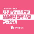 [핫핑크돌핀스 성명서] 제주남방큰돌고래 보호예산 전액 삭감 규탄한다 이미지