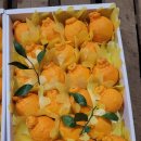 천금농장 이미지