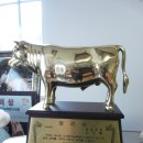 청일목장 이미지