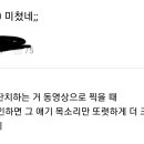 야 근데 아이폰 갤럭시랑 존나 비교된다 이미지