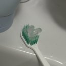 투스 | 직장인이 찾은 여행용 미백치약 투스노트 미니 2종세트 솔직 후기