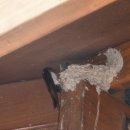 이곡마을회관 이미지