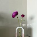 아해 | 남양주 원데이클래스 아해들공방 제스모나이트 화병만들기 후기