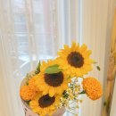 사파동397 이미지