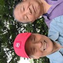 실과바늘 Daum카페